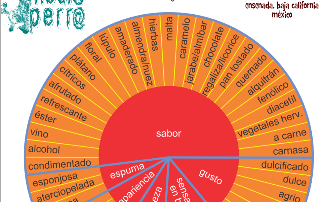 Sabores y colores de la cerveza